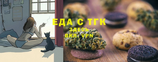 СК Алексин