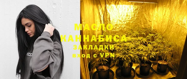 СК Алексин