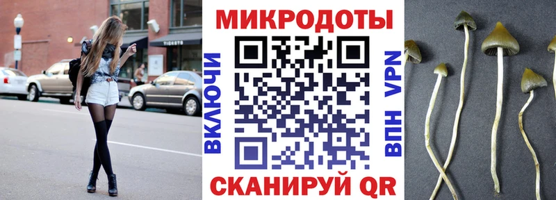 Галлюциногенные грибы Cubensis Протвино