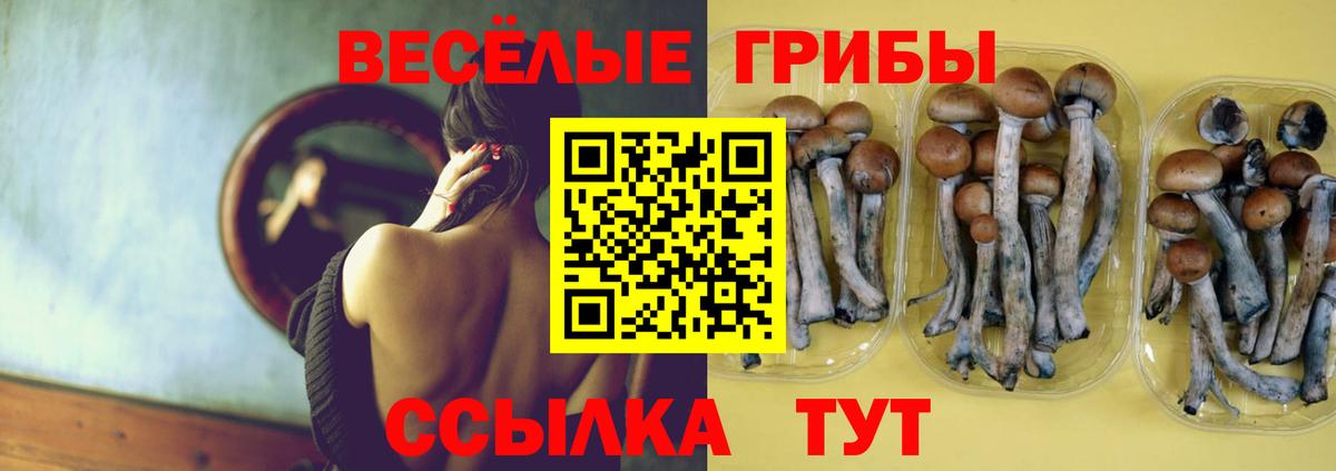 Протвино  Псилоцибиновые грибы ЛСД  Вход с VPN 