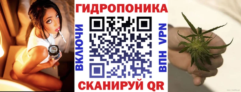 Конопля OG Kush  Протвино 